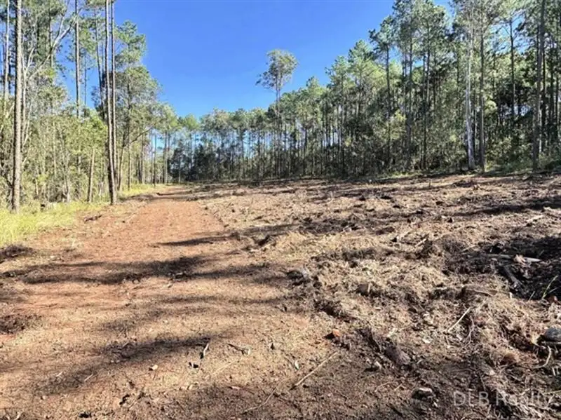 Main view of Homely land listing, 547 Fleming Street, Glenwood QLD 4570