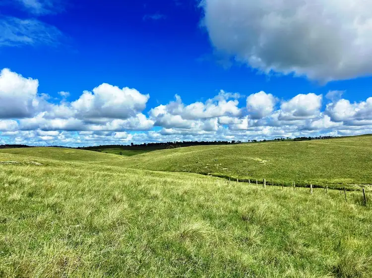 Fourth view of Homely rural property listing, 1815 Hillview Road, Uralla NSW 2358