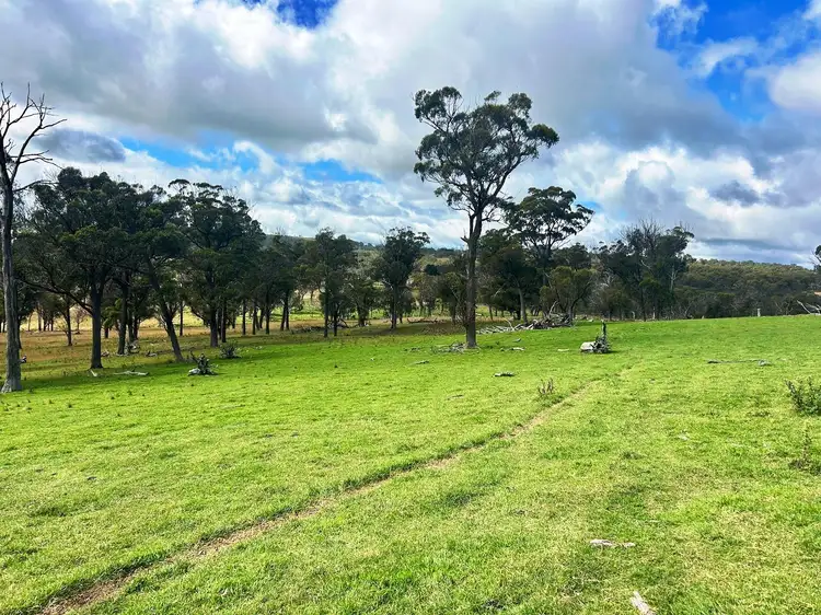 Fifth view of Homely rural property listing, 1815 Hillview Road, Uralla NSW 2358