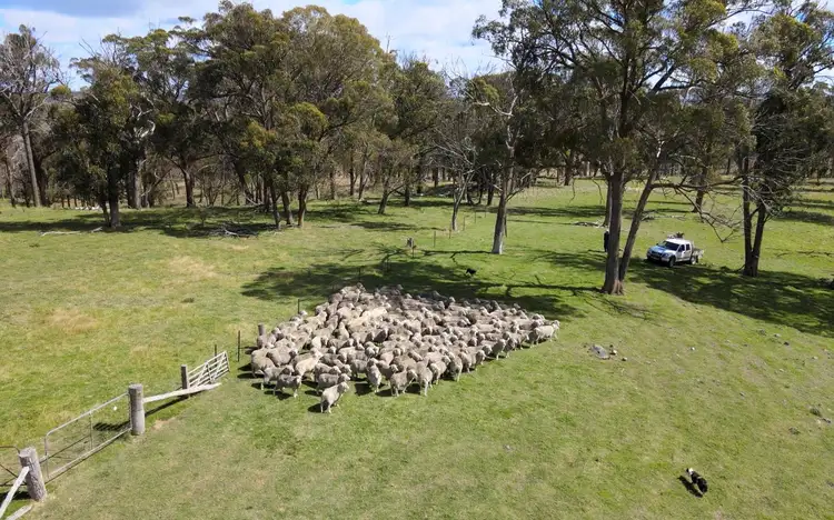 Sixth view of Homely rural property listing, 1815 Hillview Road, Uralla NSW 2358