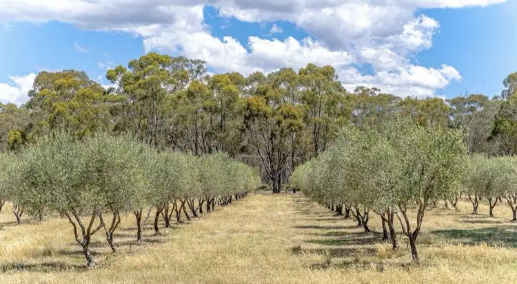 Main view of Homely rural property listing, 55 Knowsley- Barnadown Road, Axedale VIC 3551