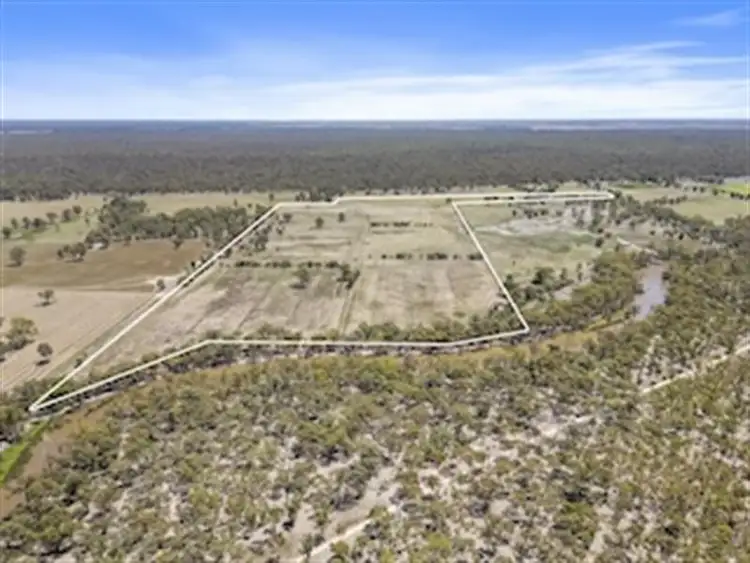 Main view of Homely rural property listing, 448 Moira Lakes Road, Barmah VIC 3639