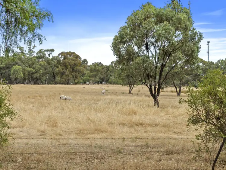 Sixth view of Homely land listing, 1210 Picola Barmah Road, Barmah VIC 3639