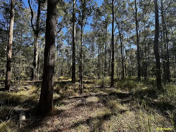 Sixth view of Homely land listing, Lot 707 Arbortwenty Seven Road, Glenwood QLD 4570