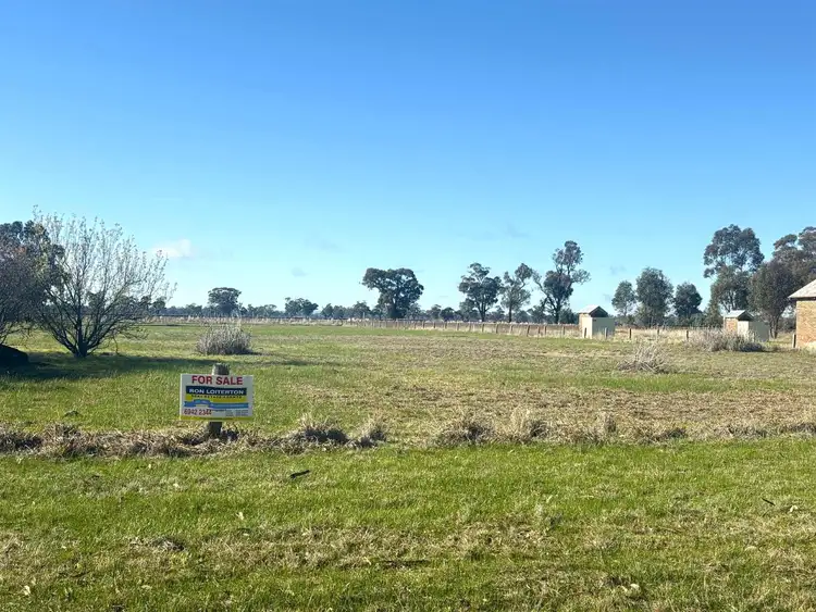 1660 Milvale-Stockinbingal Road, Milvale NSW 2594