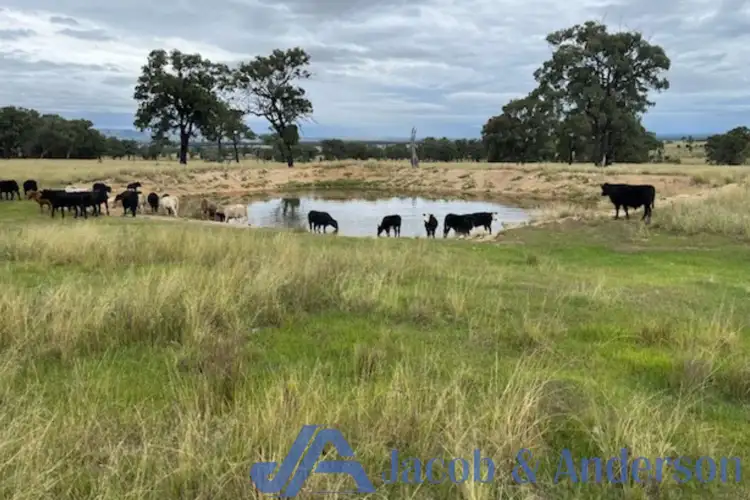 Main view of Homely rural property listing, 188 Bullarook Road, Coolah NSW 2843
