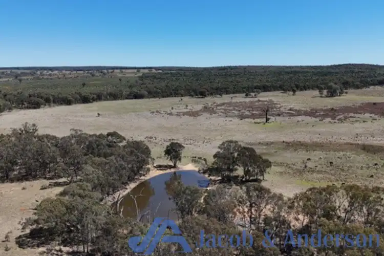 Fifth view of Homely rural property listing, 188 Bullarook Road, Coolah NSW 2843