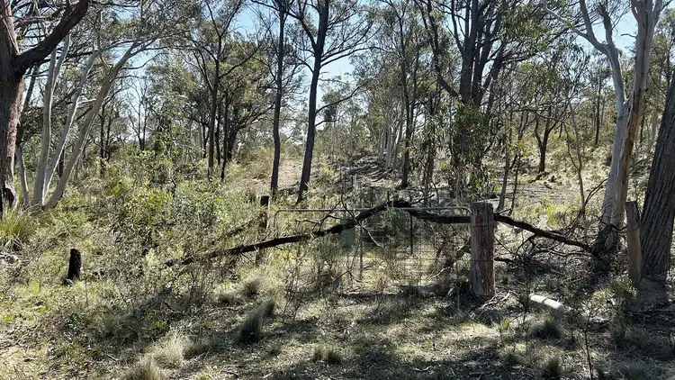 Fifth view of Homely land listing, 1519 Mountain Ash Road, Bungonia NSW 2580