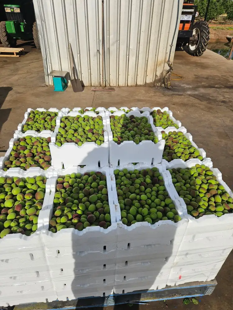 Third view of Homely rural property listing, 231 Falkiner  Avenue, Tresco VIC 3583