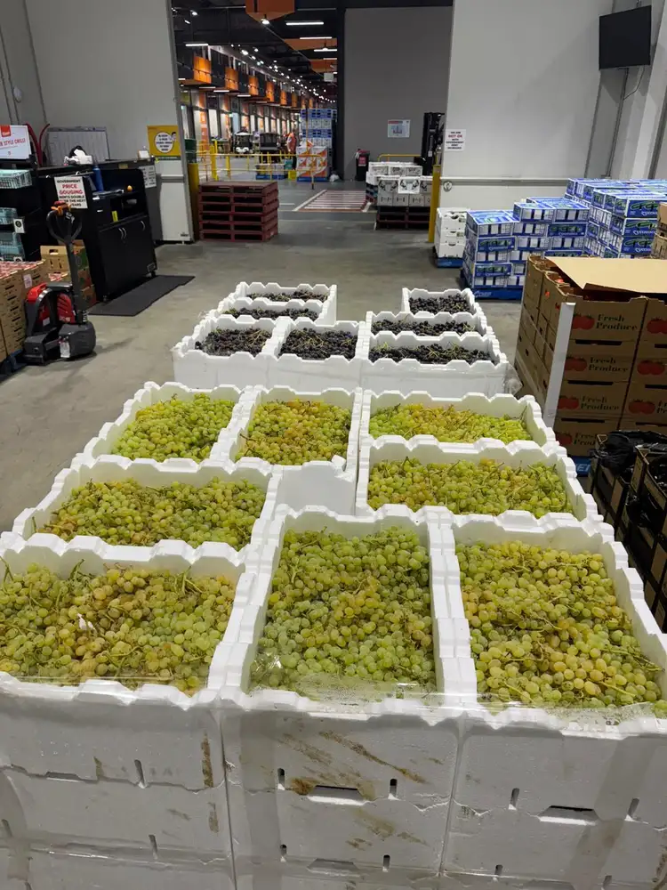 Fourth view of Homely rural property listing, 231 Falkiner  Avenue, Tresco VIC 3583