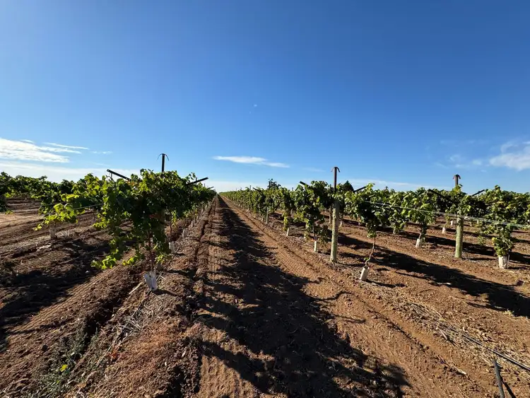 Seventh view of Homely rural property listing, 231 Falkiner  Avenue, Tresco VIC 3583