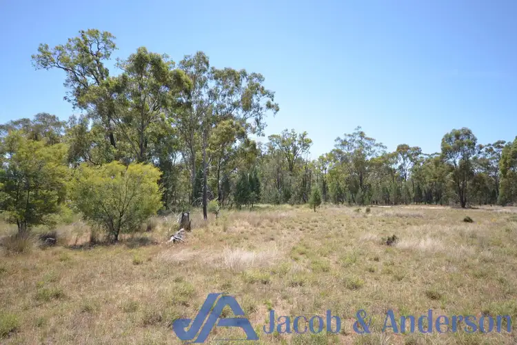 Fourth view of Homely rural property listing, 522 Baan Baa Road, Baan Baa NSW 2390