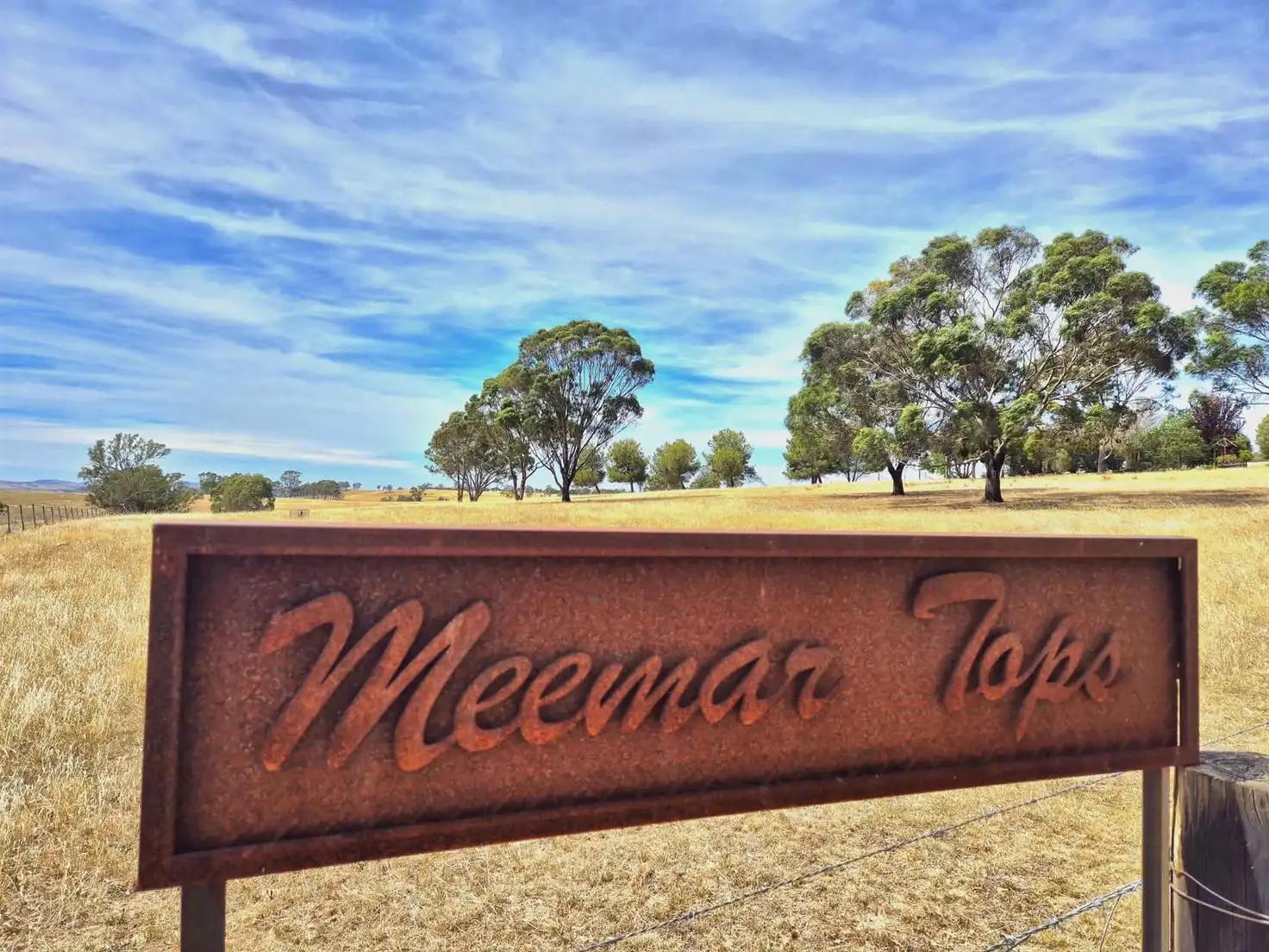 Main view of Homely house listing, 1196 Stockinbingal Road, Cootamundra NSW 2590