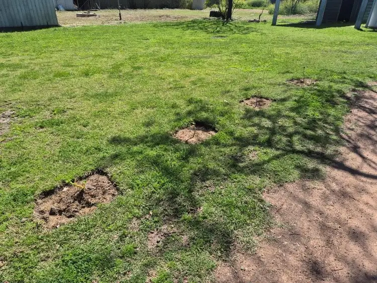 Second view of Homely house listing, 28 George Street, Collarenebri NSW 2833