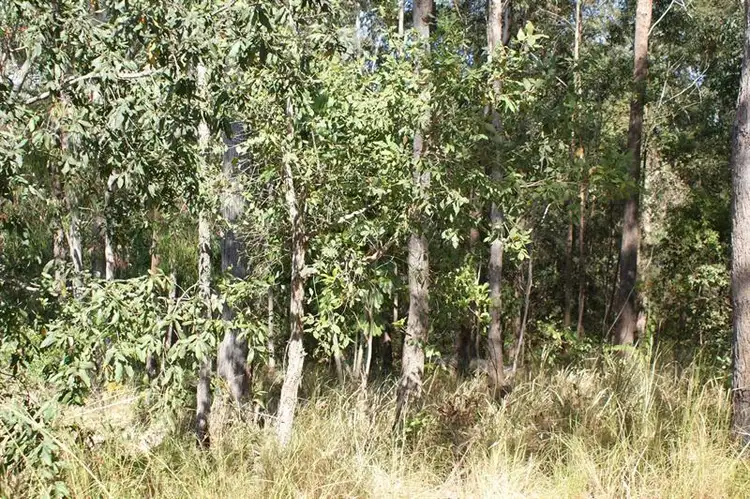 Second view of Homely land listing, 81C Lake Russell Drive, Emerald Beach NSW 2456