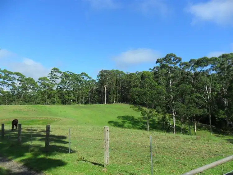 Fourth view of Homely rural property listing, 322 Hubbards Nth Rd, Pacific Palms NSW 2428
