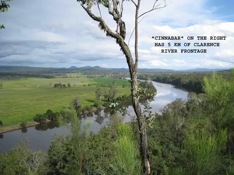 Fourth view of Homely rural property listing, 41 Peckhams Rd, Ewingar NSW 2469