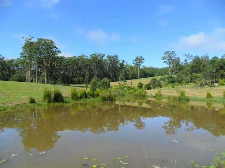 Seventh view of Homely rural property listing, 322 Hubbards Nth Rd, Pacific Palms NSW 2428