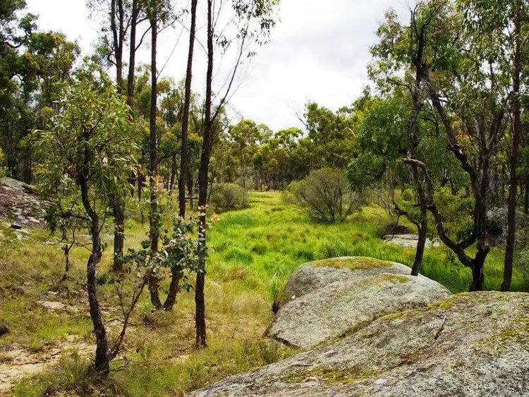 Sixth view of Homely rural property listing, 1509 Retreat Road, Uralla NSW 2358