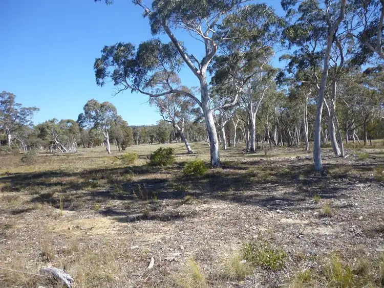 Fifth view of Homely rural property listing, 386 Foxs Elbow Rd, Warri NSW 2622