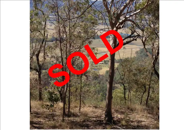 Main view of Homely rural property listing, Lot 118 Wollombi Road, Broke NSW 2330