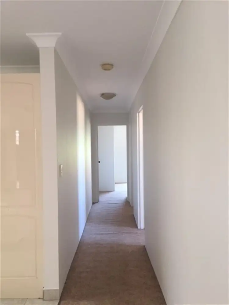 Fifth view of Homely apartment listing, 14/45-49 Harbourne Road, Kingsford NSW 2032