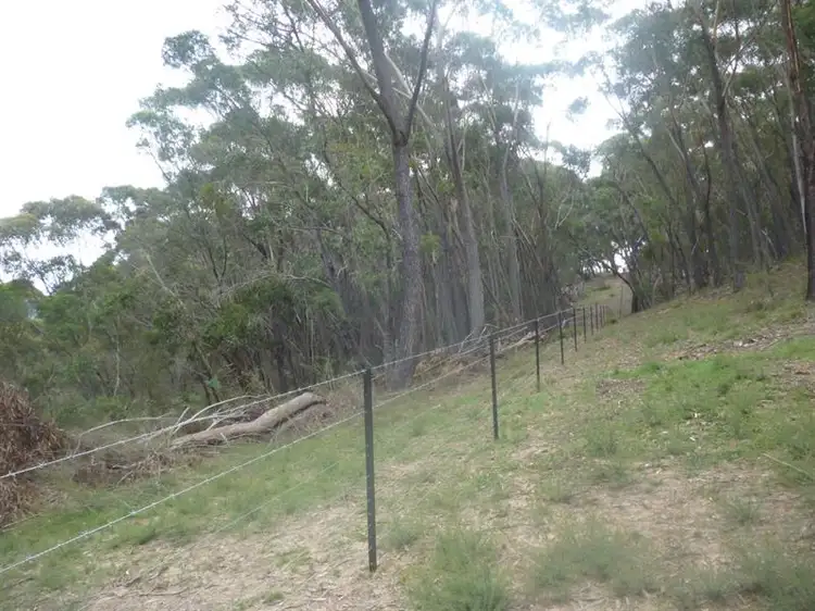 Fifth view of Homely rural property listing, 8170 Nerriga Rd, Tomboye NSW 2622