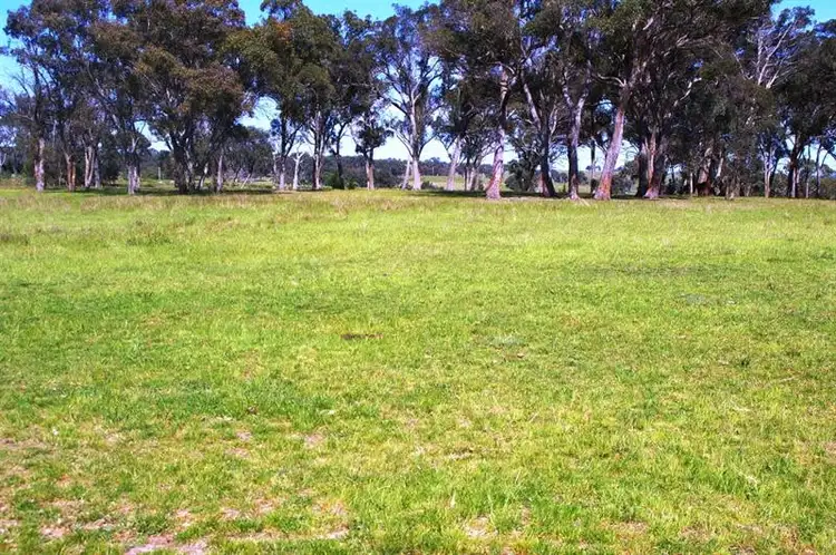 Second view of Homely rural property listing, 340 Kingstown Road, Uralla NSW 2358