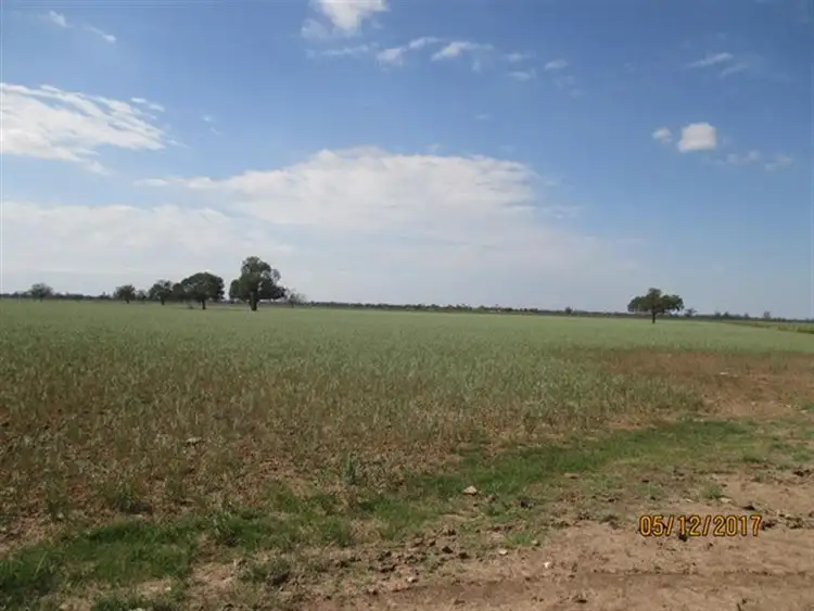 Second view of Homely rural property listing, 929 Pilliga Road, Wee Waa NSW 2388