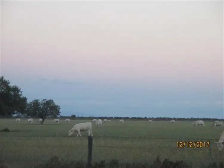 Third view of Homely rural property listing, 929 Pilliga Road, Wee Waa NSW 2388