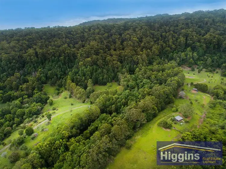 Fifth view of Homely rural property listing, 135 Coopers Creek Road, Upper Coopers Creek NSW 2482