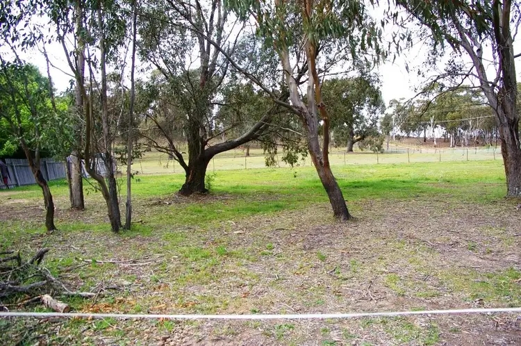 117W North Street, Walcha NSW 2354
