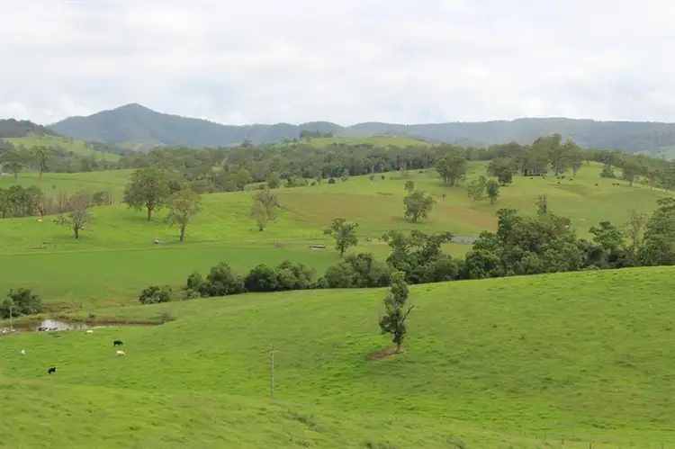 Main view of Homely rural property listing, 879 Thunderbolts Way, Gloucester NSW 2422