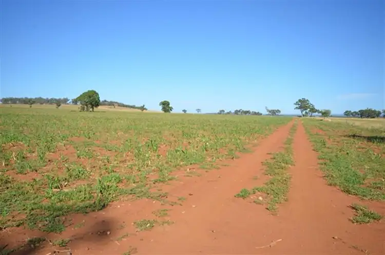 Main view of Homely rural property listing, 1 Wightman Road, Gunnedah NSW 2380