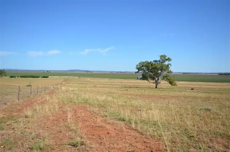 Fifth view of Homely rural property listing, 1 Wightman Road, Gunnedah NSW 2380