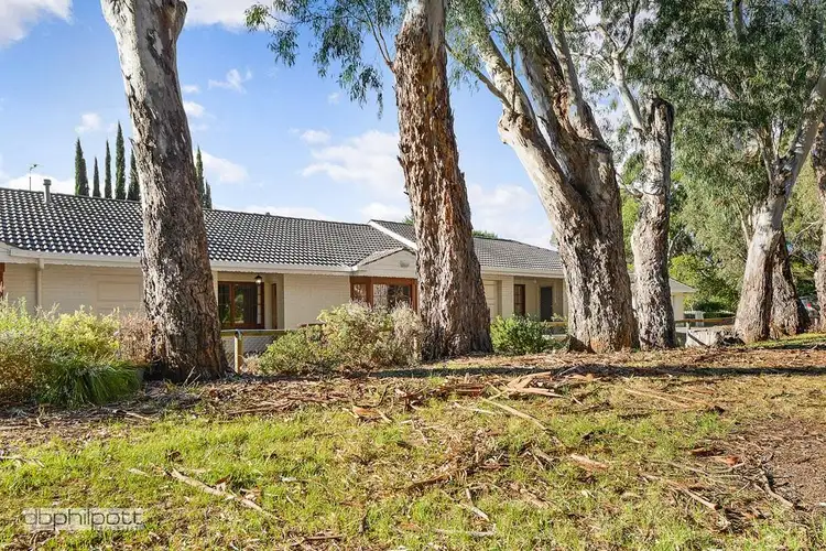 Main view of Homely unit listing, 4/38 Freeman Avenue, Tranmere SA 5073