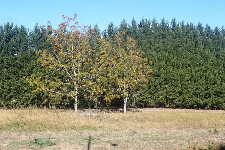 Third view of Homely land listing, 30 Rochester Drive, Bundanoon NSW 2578