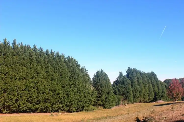 Fifth view of Homely land listing, 30 Rochester Drive, Bundanoon NSW 2578