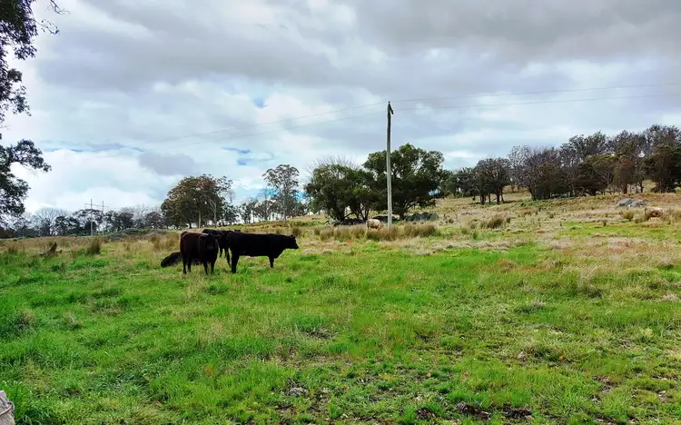 Lot 102 Jenkyn Lane, Uralla NSW 2358