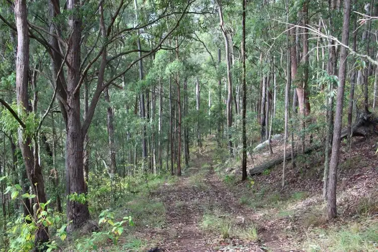 Third view of Homely rural property listing, 2261 Andersons Creek Road, Monkerai NSW 2415
