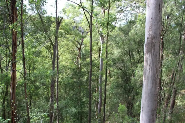 Seventh view of Homely rural property listing, 2261 Andersons Creek Road, Monkerai NSW 2415