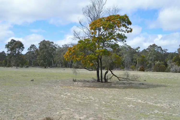 Seventh view of Homely rural property listing, 144 Fernleigh Close, Windellama NSW 2580