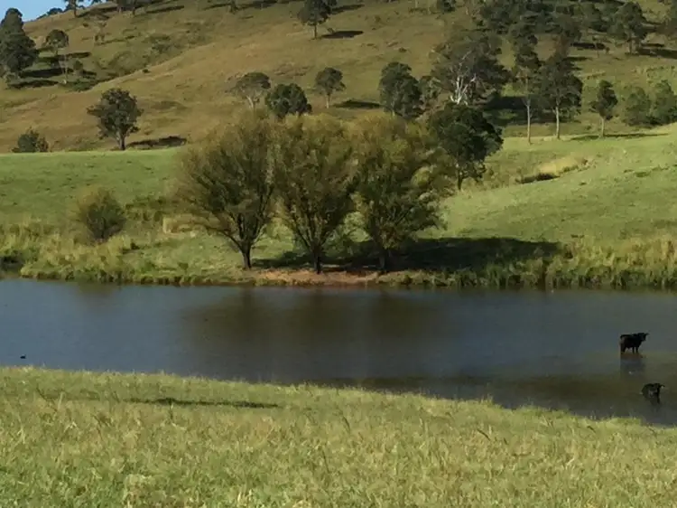 Fourth view of Homely rural property listing, 1244 Thunderbolts Way, Gloucester NSW 2422