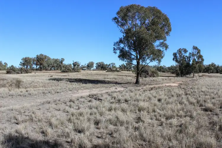 Seventh view of Homely land listing, 2859 Tantitha Road, Tomingley NSW 2869
