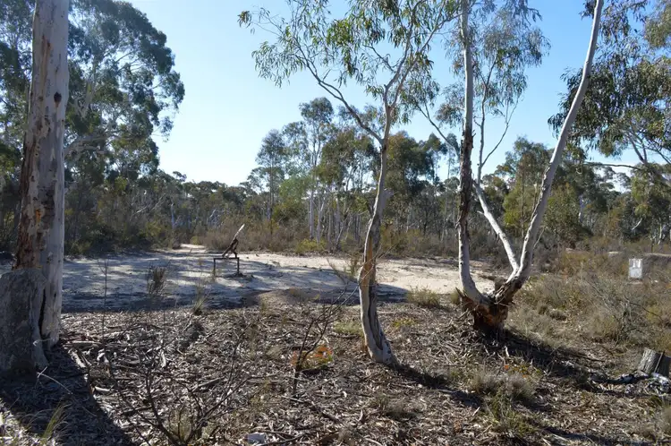 1245 Sandy Point Road, Lower Boro NSW 2580