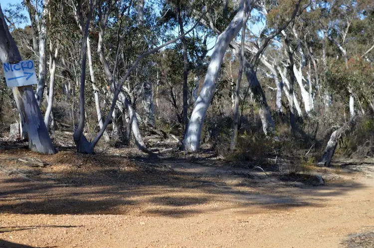 Sixth view of Homely rural property listing, 1245 Sandy Point Road, Lower Boro NSW 2580