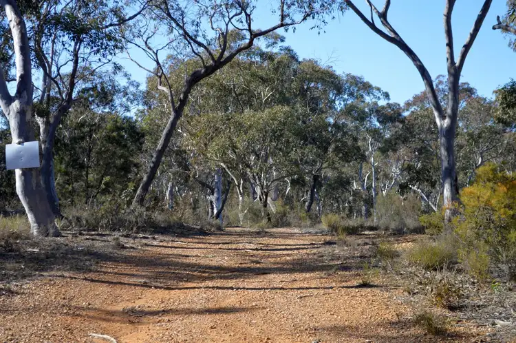 Seventh view of Homely rural property listing, 1245 Sandy Point Road, Lower Boro NSW 2580