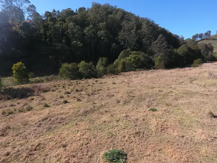 Fifth view of Homely rural property listing, 2097 Waukivory Road, Gloucester NSW 2422