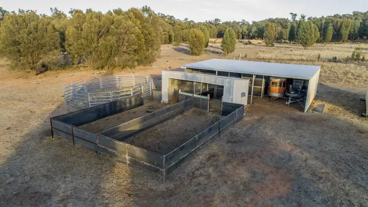 Main view of Homely rural property listing, 132 R Mendooran Road, Dubbo NSW 2830