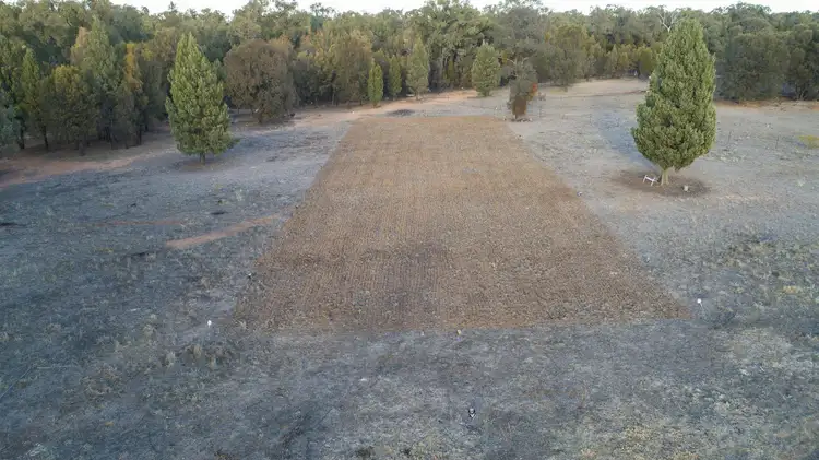 Fifth view of Homely rural property listing, 132 R Mendooran Road, Dubbo NSW 2830
